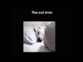 Rise and Shine