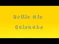 BRILLO MÍO - CALONCHO (LETRA)