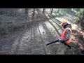 Rabbit Hunt in Georgia