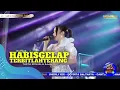 Lagu OM ADELLA HABIS GELAP TERBITLAH TERANG (!VOC)-TASYA ROSMALA STREAMING Adella #musikLIVE 2025