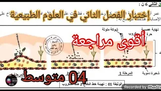 إختبار الفصل الثاني في العلوم الطبيعية السنة الرابعة متوسط 