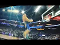Sacramento Kings mascot Slamson is a boss They need him on the team
