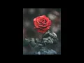 Download Lagu Sajni - The Jal Band (Slowed + Reverbed)