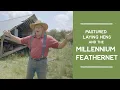 How to Shelter Pastured Egg Laying Hens with the Millennium Feathernet Joel Salatin