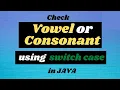 Java Program to Check Vowel or Consonant using SWITCH CASE in Hindi Java Programming Tutorials