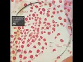 Nick Hakim - All These Changes