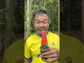 Download Lagu NANEM ES KRIM KARDUS