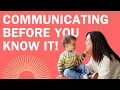 5 Steps to Boost Your Gestalt Language Processor s Communication