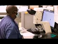Behind the Scenes at Riverside Healthcare - Lab Team