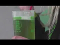 OVI checkpoints planned for St Patrick s Day weekend