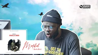 the breakdown from heaven medikal borla bird