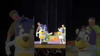 Bluey Theme Song LIVE Bluey s Big Play