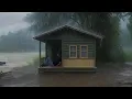 Download Lagu Camping hujan deras - Membangun shelter bambu sederhana di pinggir sungai