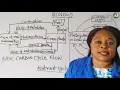 BIOLOGY OBASI I P NUTRIENT CYCLING IN NATURE