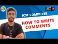 How to Write comments in Java Computer Class 10 ICSE Crash course java 10