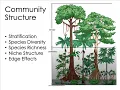 Community Ecology Part 1-1