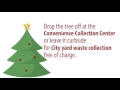 City of Stillwater Christmas Tree Removal