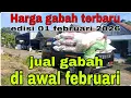 Lagu Harga gabah hari ini 01 februari 2026@Petanimuda2putra 