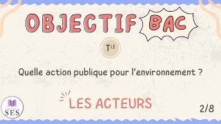 [BAC] Cours Environnement - Les acteurs et la mise à l'agenda politique