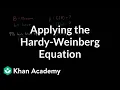 Applying the Hardy-Weinberg equation Biomolecules MCAT Khan Academy