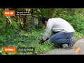 5 Ways to Get Rid of Poison Ivy Plants From Your Lawn | The Home Depot