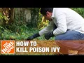 5 Ways to Get Rid of Poison Ivy Plants From Your Lawn The Home Depot