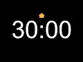 30 Minutes Count up Timer 00 00 to 29 59 1800 Seconds