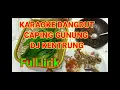 Download Lagu DJ REMIX TERBARU 2023 FULL BAS # CAPING GUNUNG