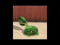 Melon-Pult - Plants Vs Zombies #mrtoon #pvz #plantsvszombies