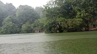 ماهر زين  يامن صليت بكل الأنبياء دندنها