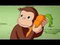 Download Lagu 🐵Peter Pedal 🐵 De søde kaniner er flygtet! 🐵Børn Film 🐵Film til Børn