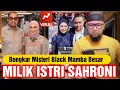 Download Lagu Terungkap Misteri Black Mamba Besar Milik Istri Ahmad Sahroni ???
