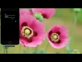 iOS Swift 4 UITextfield Extravaganza