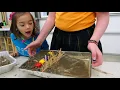 Erosion Prevention Challenge