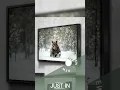 Brown Bear Canvas Wall Art Bear Canvas Wildlife Animal Prints in Snowy Forest Canvas Wall Art
