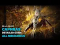 BDO CAPHRAS Illezra s Son Edania s Last Boss All Mechanics Tips Tricks