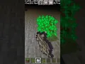Can you grow a tree underground