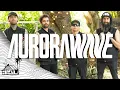 Download Lagu Aurorawave - Inferno (Live Music) | Sugarshack Sessions