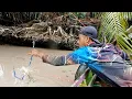 Download Lagu akar pohon tua jadi saksi saat udang galah besar terciduk spot terbaik mancing udang galah