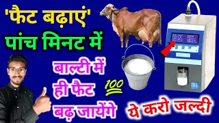 Download गाय भैंस के दूध में फैट बढा़एं बिलकुल फ्रि में | doodh ka fat kaise badhaye/दूध में फैट कैसे बढ़ाएं MP3