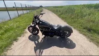                     دندنها