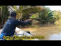Download Lagu sangat berat menaklukan perlawanan yang begitu kuat  spot terbaik mancing udang galah di kalimantan