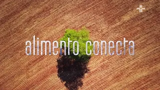 Documentário | ALIMENTO CONECTA | 15/01/2025