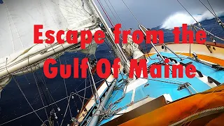 Escape from the Gulf of Maine EP#1