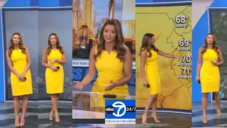 Dani Beckstrom for ABC7 Eyewitness News Big Dog Sunday Weather clips for August 02 2026