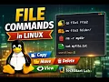 Master Linux File Commands cp rm cat Beginner Guide