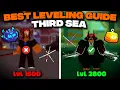 Best Third Sea Leveling Guide 1500 2800 BloxFruits Update 28