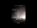 The Spiral Starecase - More Today Than Yesterday | The Mule OST