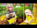 Download Lagu A Day in the Garden with Monkey Bibi