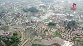 Exquisite Paddy Design In Liuwan Nanning 